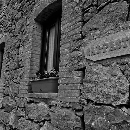 Salo Casa Cal Pastorゲストハウス エクステリア 写真
