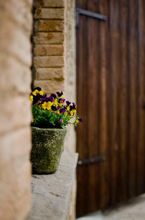 Salo Casa Cal Pastorゲストハウス エクステリア 写真